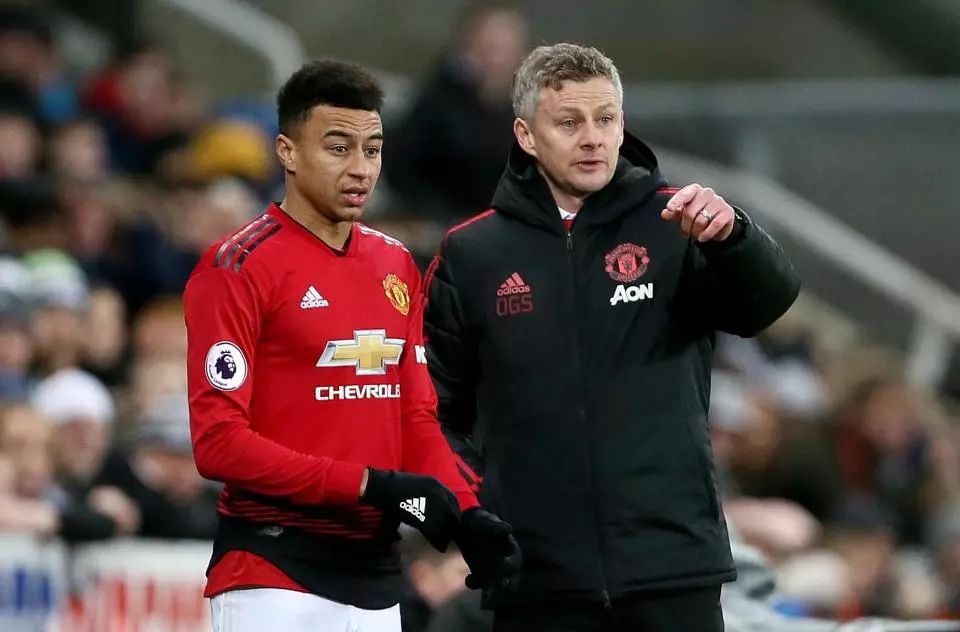 场下的众多 场下的众多